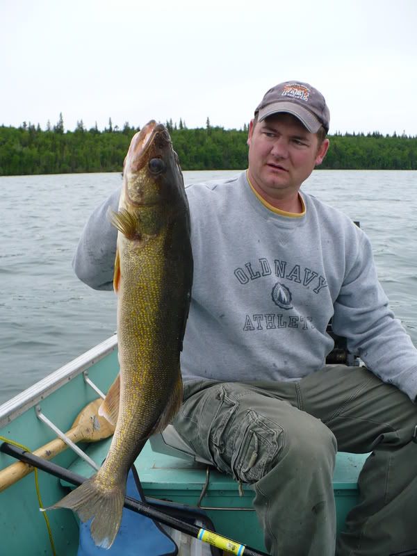 the best walleye lake in alberta Alberta Outdoorsmen Forum